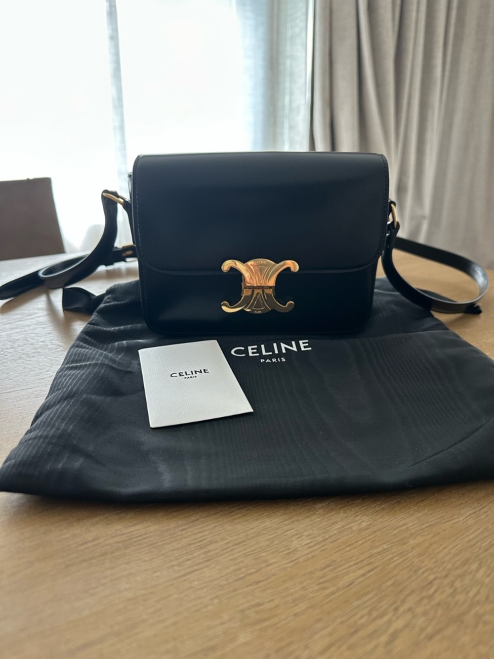 Celine Teen Triomphe Bag in Shiny Calfskin